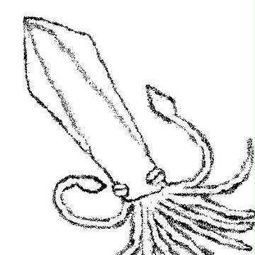 プロフ絵――ペイント絵ｖｅｒ．――