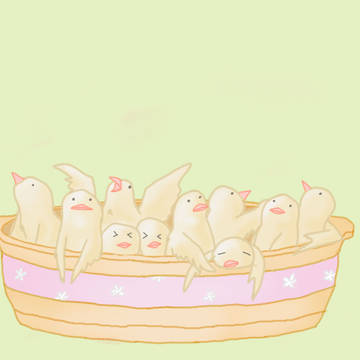 鳥鍋