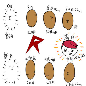 ジャコーの満ち欠け