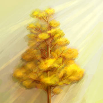 Ginkgo