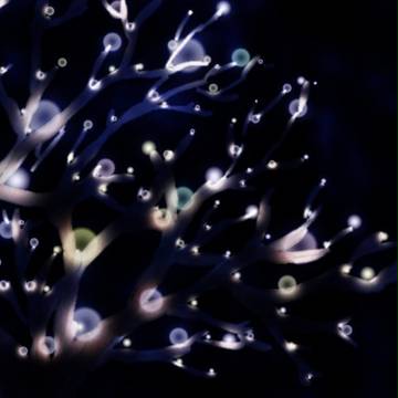 うまれるひかり