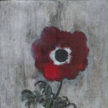 Ｐｏｒｔｒａｉｔ　red anemone