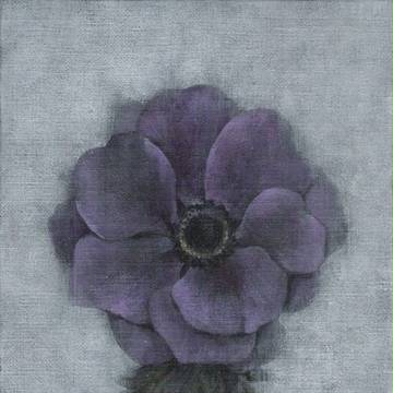 Portrait  purple anemone