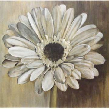 Ｗｈｉｔｅ　ｇｅｒｂｅｒａ