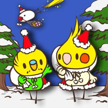クリスマスインコ!