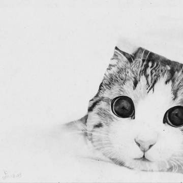 猫　鉛筆画