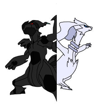 白と黒