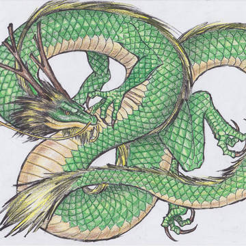 龍