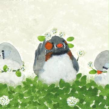 シロツメとキンカチョウ