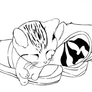 愛猫
