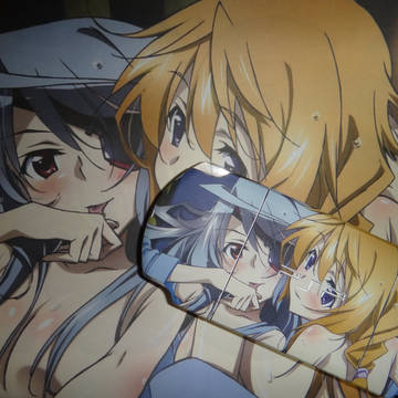 [IS]嫁のラウラ＆シャルルで痛PSP