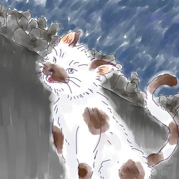 ぶちねこ