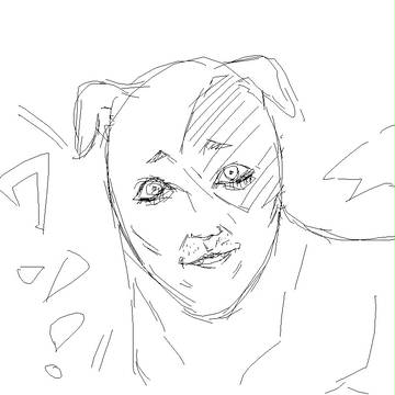 犬