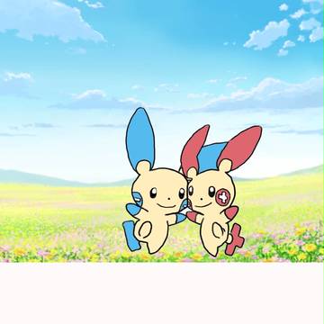 プラスルとマイナンの花畑