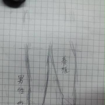 険しき道も一歩から。