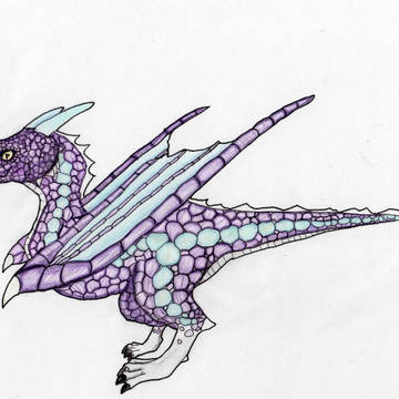 紫ドラゴン