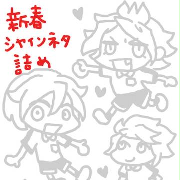 シャインネタ詰め