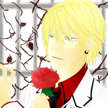 Tears of the Rose、夜紅玖彌