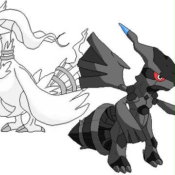 白黒ドラゴン