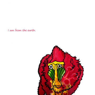 マンドリル