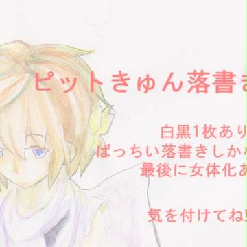 ピットきゅん落書き詰め