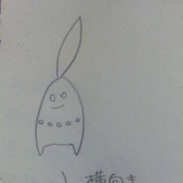 横向きチコリータさん