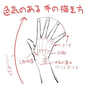 色気のある手の描き方