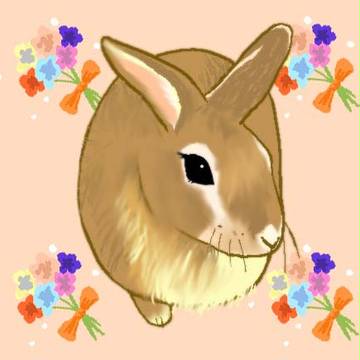 うちのうさぎさん