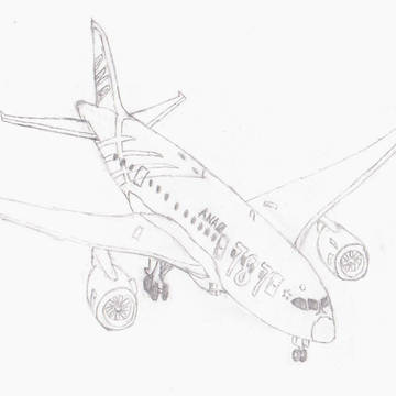 ANA 　787