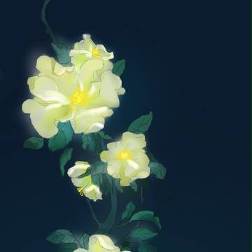 木芙蓉