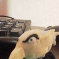ようこそベルベットルー・・・ルームがNEEEEEE!