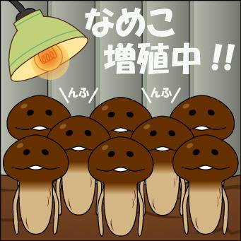 なめこ増殖中!!