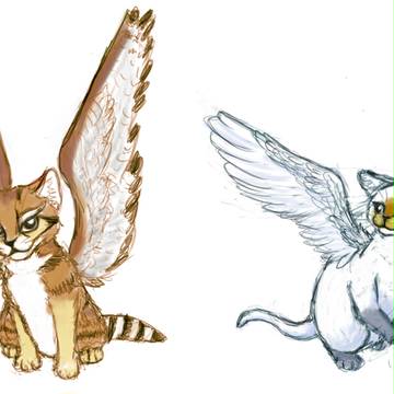 Aquila and Cygnus