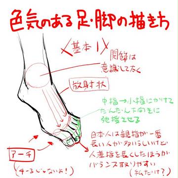 色気のある足・脚の描き方