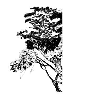 背景　木