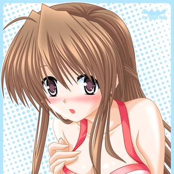 裸エプロンほなみんとイチャラブ（C81表紙）