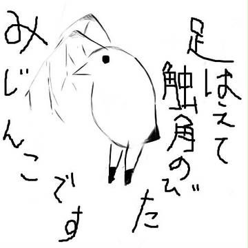 みじんこ・・・？