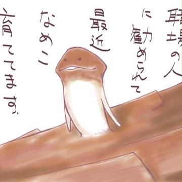 なめこ