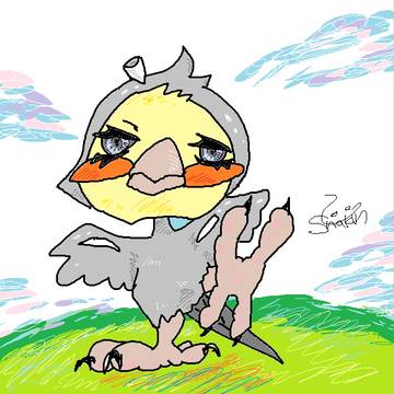 オカメインコ　クヤチン