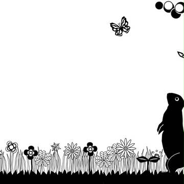 Daytime_Rabbit