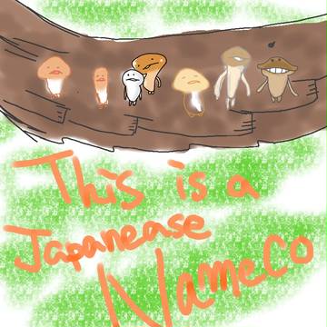なめこ