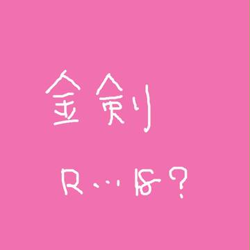 どうしてこうなったんだっけ…【金剣】