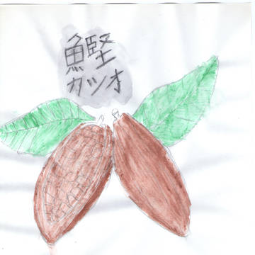 カツオ