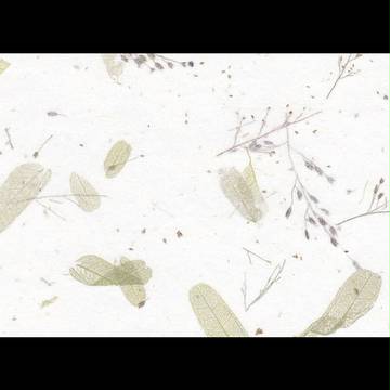 【ぴく籠町】野暮天【歓交祭】