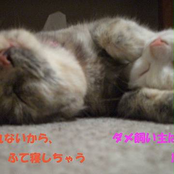 写真です・・・その３