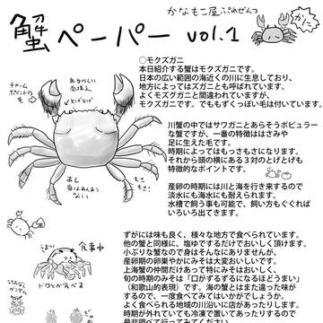 冬コミ蟹ペーパー