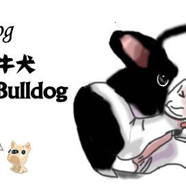 斗牛犬