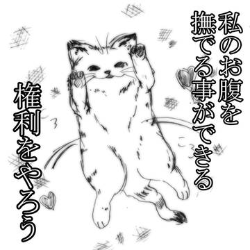 私のお腹をなでることができる権利をやろう