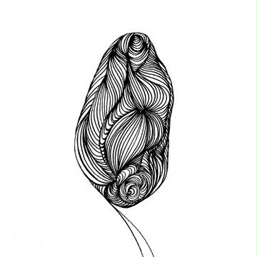 虫