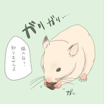僕は食べるのに必死なんで。